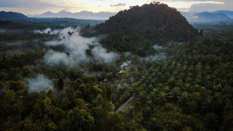 Wareerak Hot Spring & Wellness